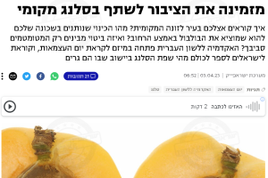 גוגואים, אג'ואים או עג'מים_ האקדמיה מזמינה את הציבור לשתף בסלנג מקומי